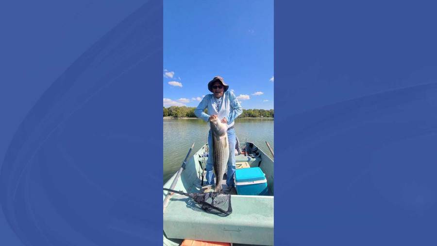 new-record-for-striped-bass-catch-in-ohio