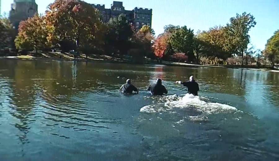 video:-officers-rescue-man-from-drowning-in-ohio-lagoon