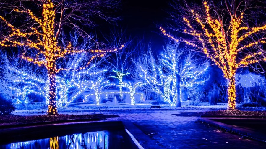 the-christmas-loop-drive-through-to-light-up-the-valley