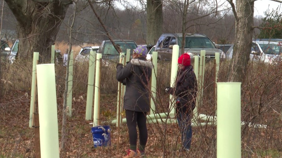 ysu-students-to-plant-more-than-1,700-trees