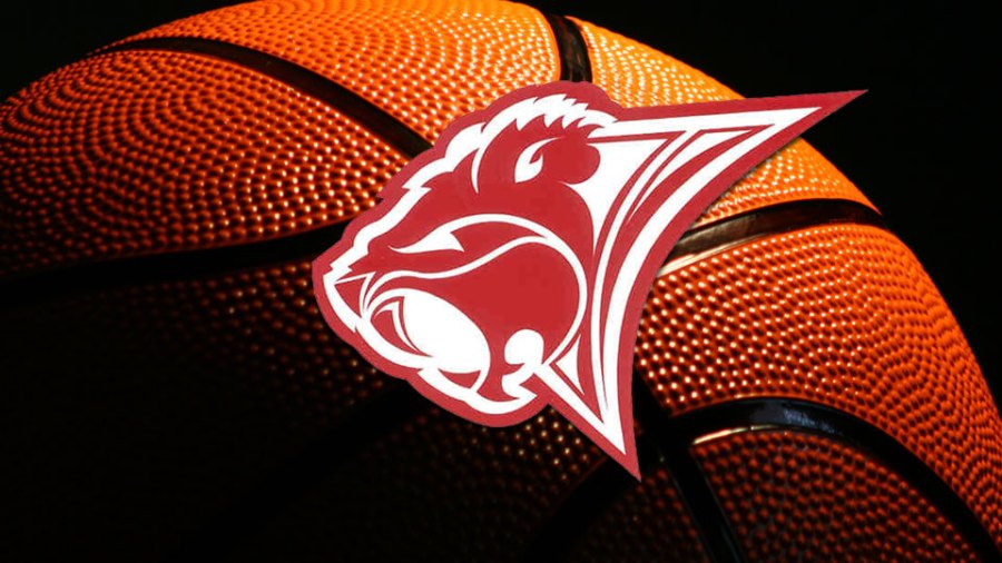 beaver-local-high-school-girls-basketball-preview