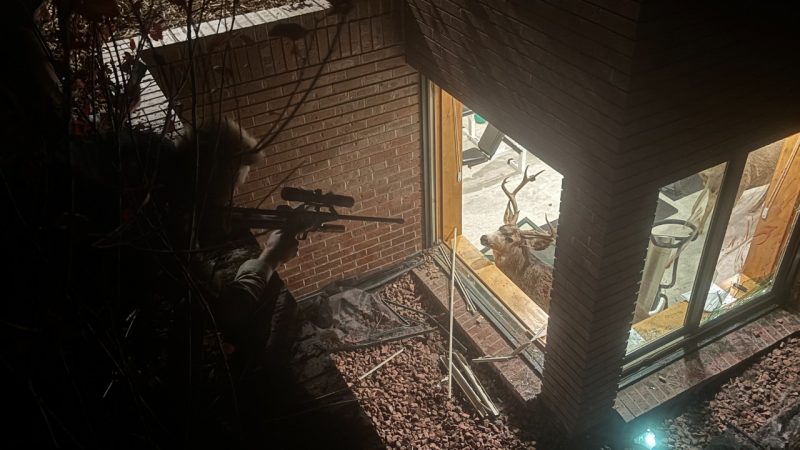 ‘late-night-showdown’:-sparring-bucks-crash-into-colorado-home’s-basement-gym