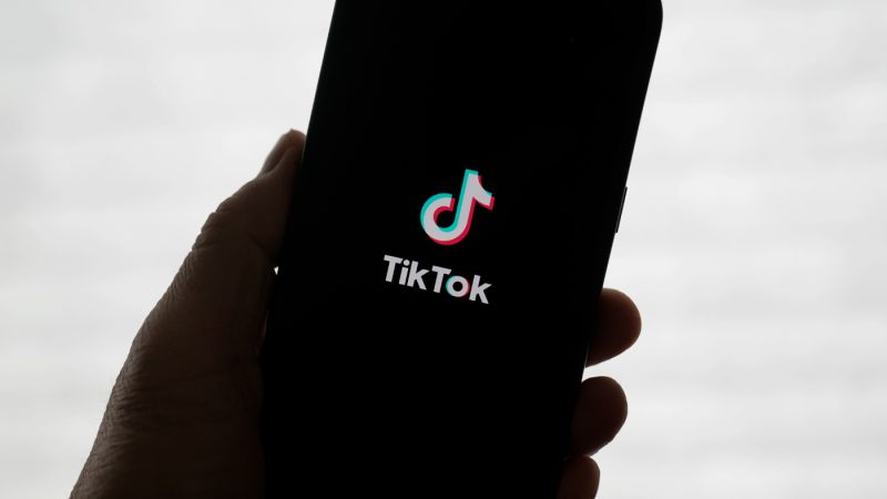 tiktok-offering-ways-to-reduce-ai-in-feeds,-launching-$2m-literacy-fund