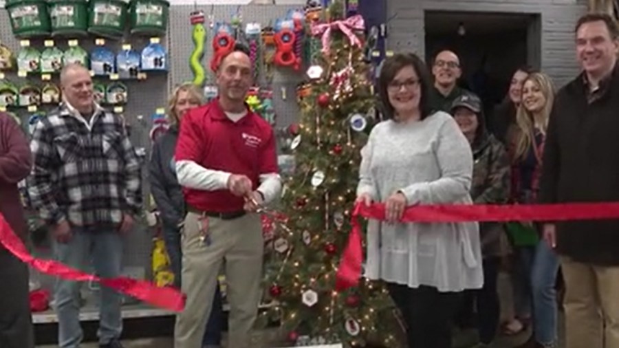 tool-gift-tree-helps-nonprofit-trade-school-students