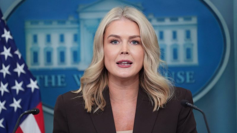 ice-detains-mother-of-karoline-leavitt’s-nephew