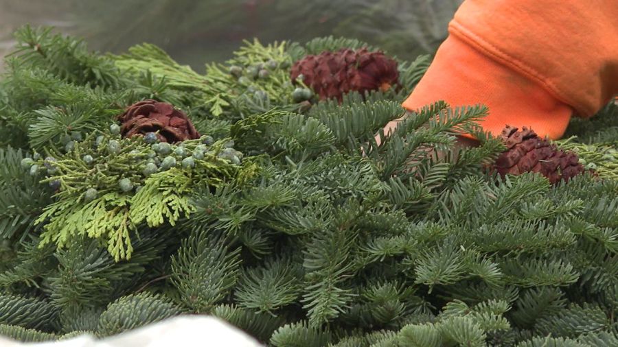cityscape-holding-5th-annual-holiday-greenery-sale