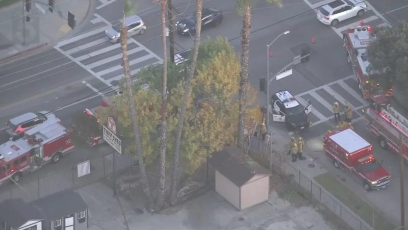 tree-trimmer-fatally-impaled-on-iron-fence-after-35-foot-fall-in-la.