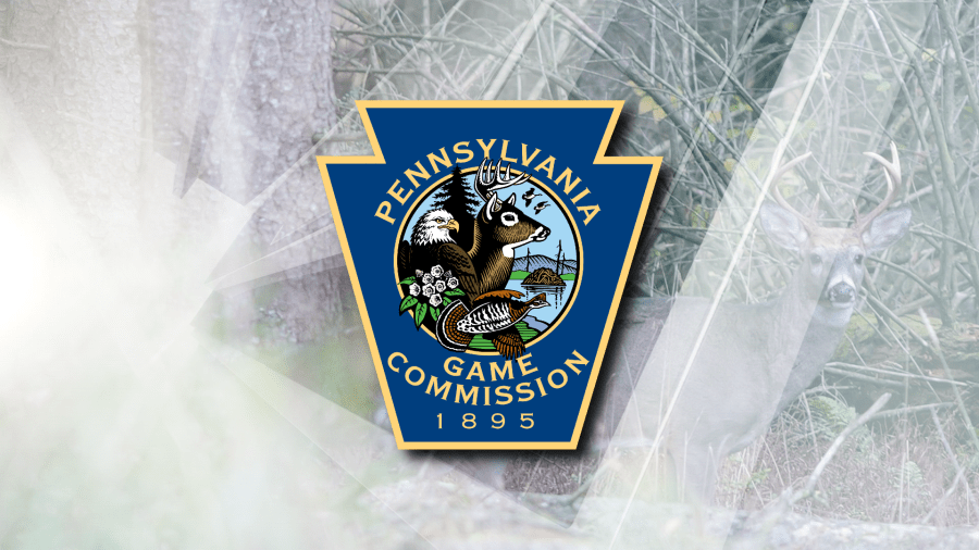 hunter-dead-after-being-shot-by-fellow-hunter-in-juniata-county,-pgc-says