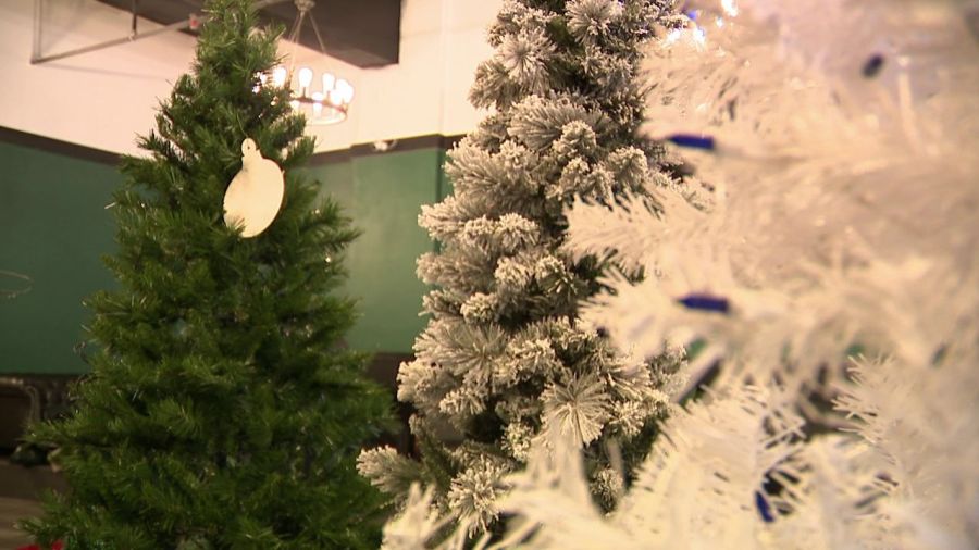 landscape-for-tree-giveaway-in-youngstown-is-‘winter-forest’
