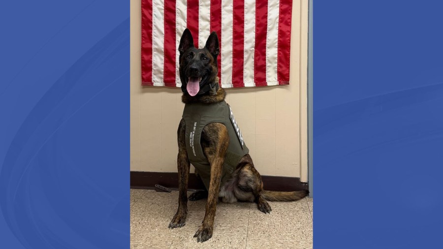 springfield-twp.-police-k-9-receives-new-vest