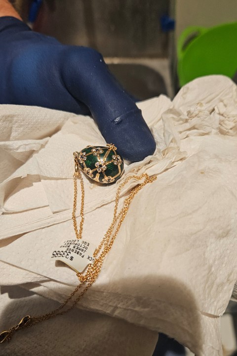 police-recover-a-swallowed-faberge-pendant-after-a-6-day-wait-for-it-to-reappear