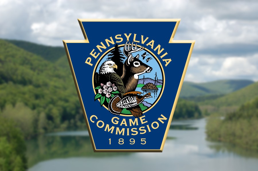 pa-game-commission-investigating-pair-of-trophy-deer-illegally-killed