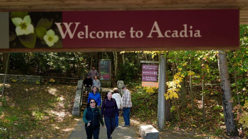 these-national-parks-will-charge-an-extra-$100-entrance-fee-for-international-visitors-in-2026