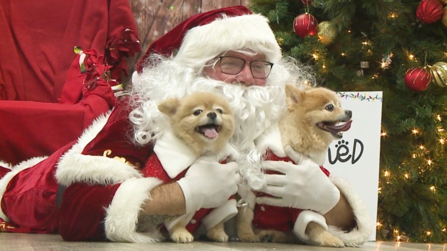furry-friends-get-photos-with-santa-at-struthers-unleashed-event