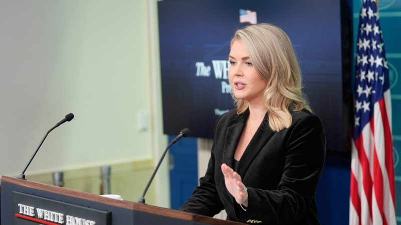 mother-of-karoline-leavitt’s-nephew-pushes-back-on-‘disgusting’-narrative