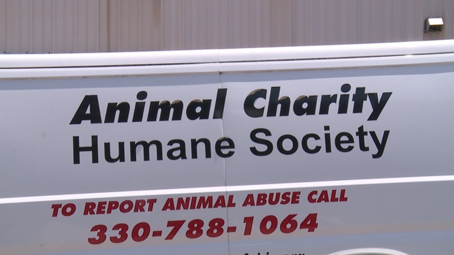 animal-charity-looks-to-future-after-director’s-resignation
