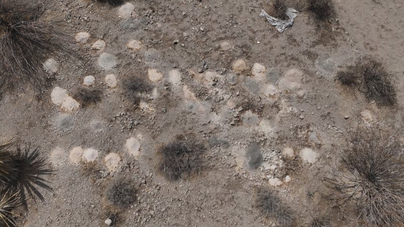 officials-identify-some-of-315-human-remains-found-outside-las-vegas