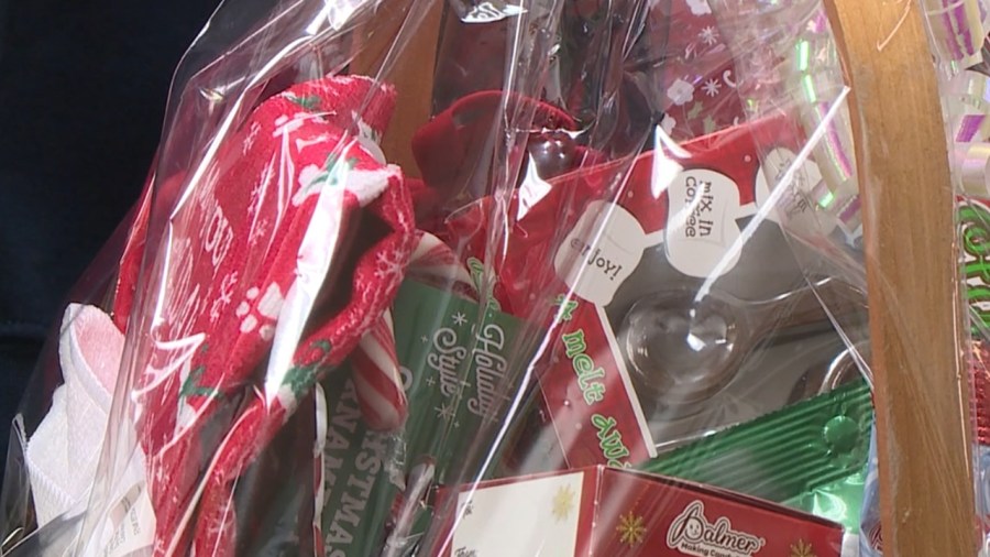 all-paws-matter-holds-cookie-walk