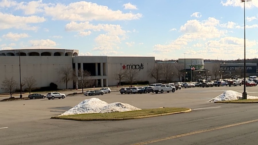 trustees-request-investigation-into-southern-park-mall-owners