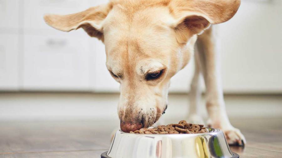 mcctc-hosting-pet-food-drive