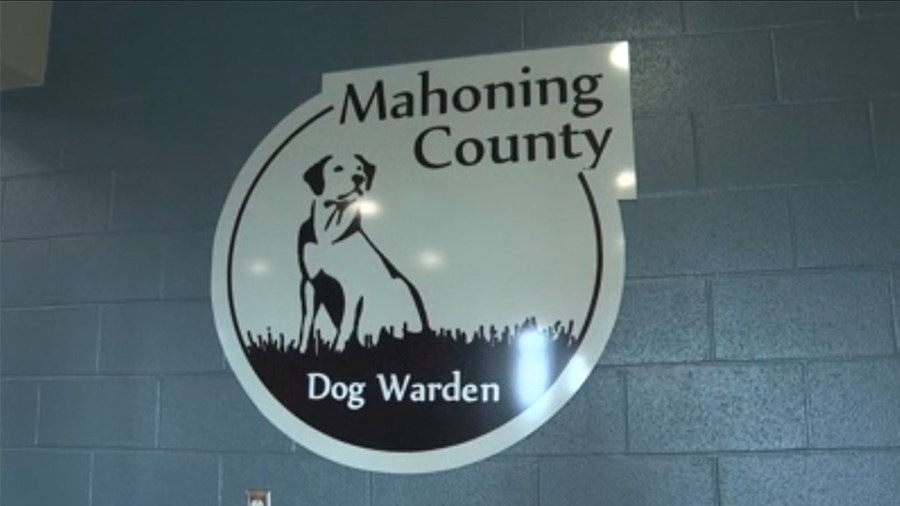 commissioners-transfer-$400k-to-dog-warden-fund