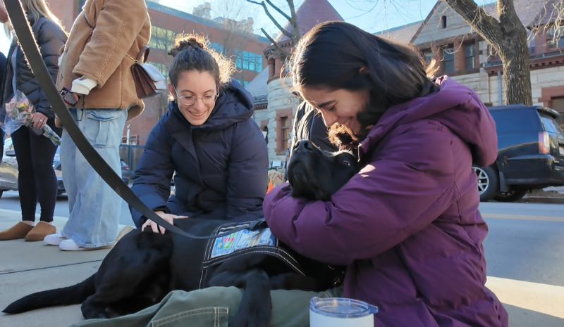 comfort-k-9s-provide-support-during-brown-university’s-darkest-days