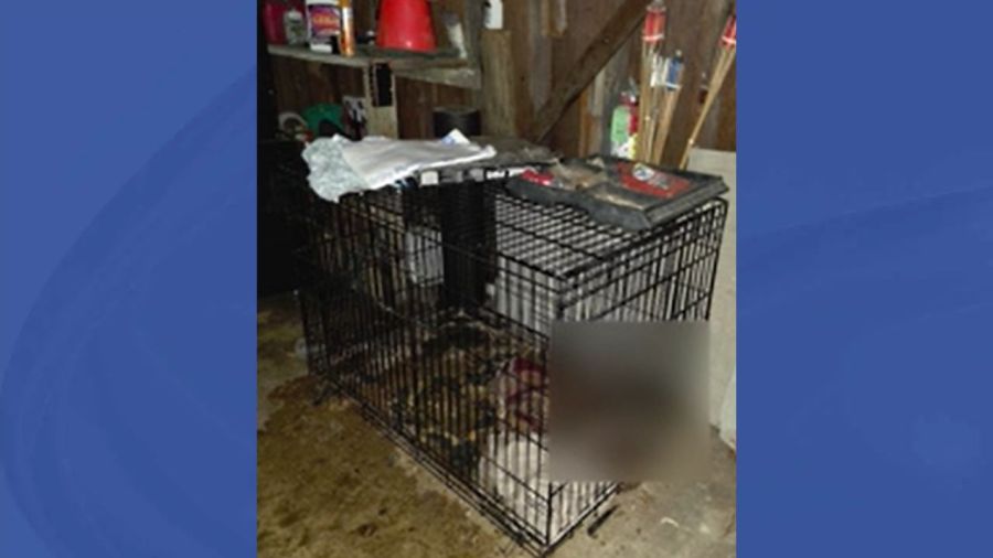 charges-to-be-filed-in-warren-animal-cruelty-case