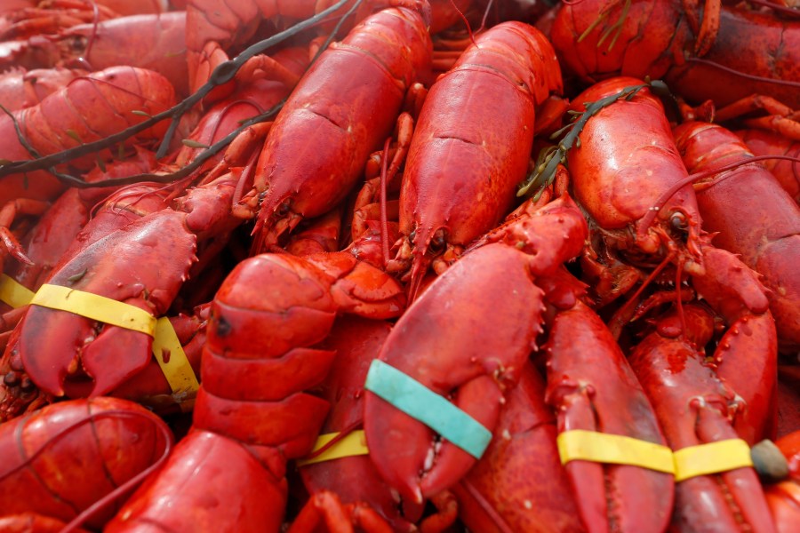 oysters,-crab-and-$400,000-worth-of-lobster-meat-stolen-in-new-england