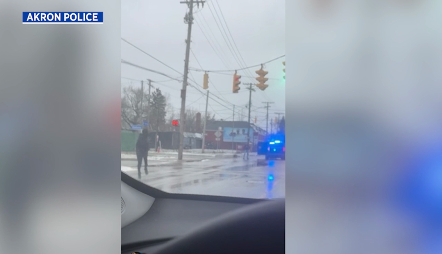 video:-k-9-helps-authorities-arrest-suspect-after-mail-carrier-robbed-at-gunpoint