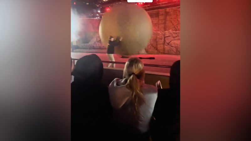 disney-cast-member-injured-while-stopping-massive-‘boulder’-from-rolling-into-audience