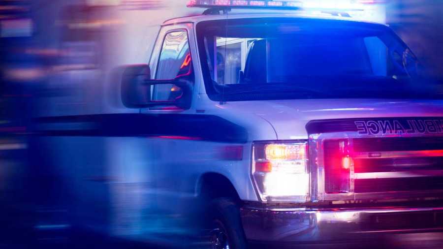 woman-killed-in-suspected-mountain-lion-attack-while-hiking-in-northern-colorado