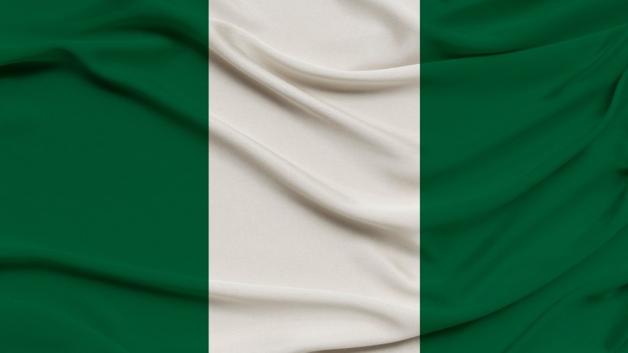 gunmen-kill-at-least-30-villagers-and-abduct-others-during-raid-in-northern-nigeria