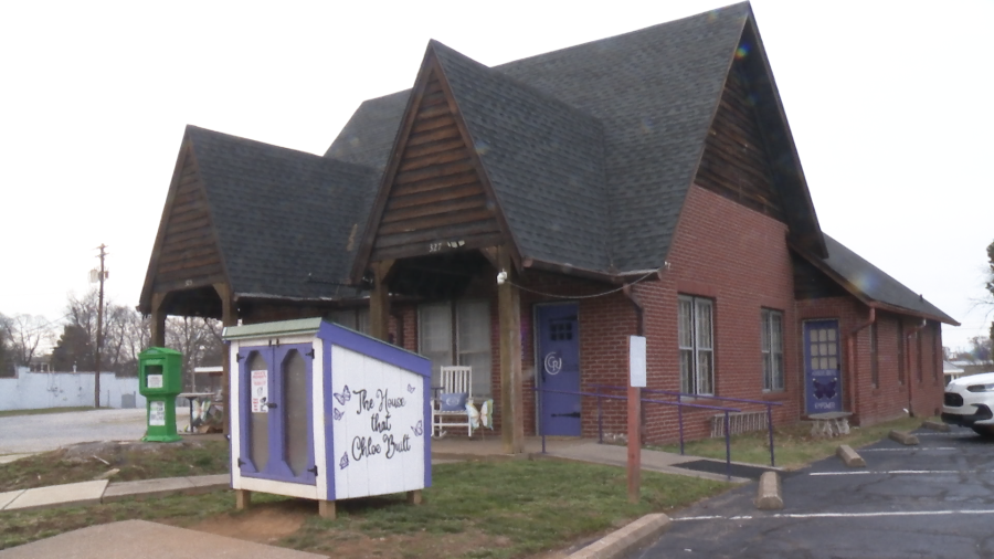 kentucky-advocates-push-for-stronger-domestic-abuse-laws-amid-tn-registry-launch