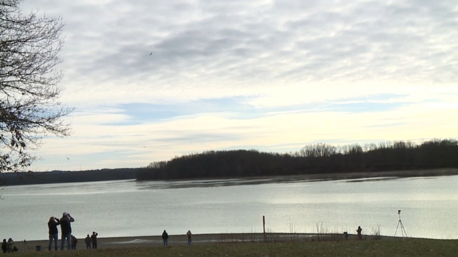 shenango-lake-eagle-fest-returning-this-weekend