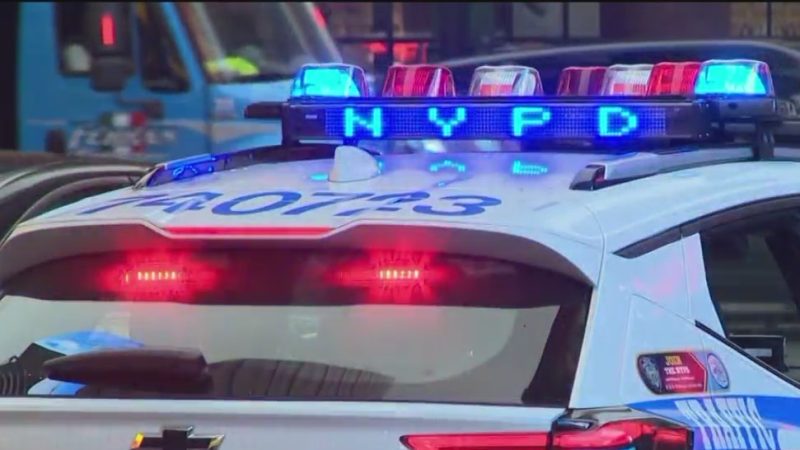 ‘cruel-act’:-nyc-driver-charged-with-animal-abuse-for-allegedly-dragging-dogs-behind-car