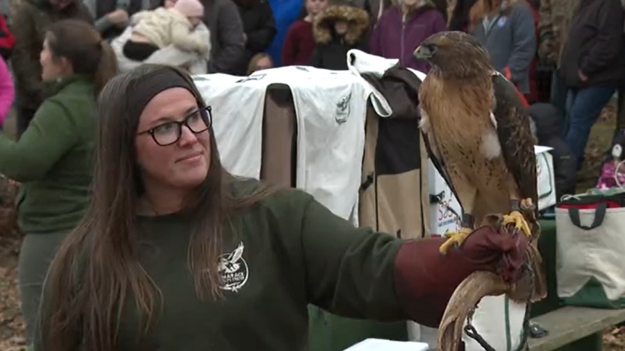 crowds-flock-to-shenango-river-for-6th-annual-birdwatching-event