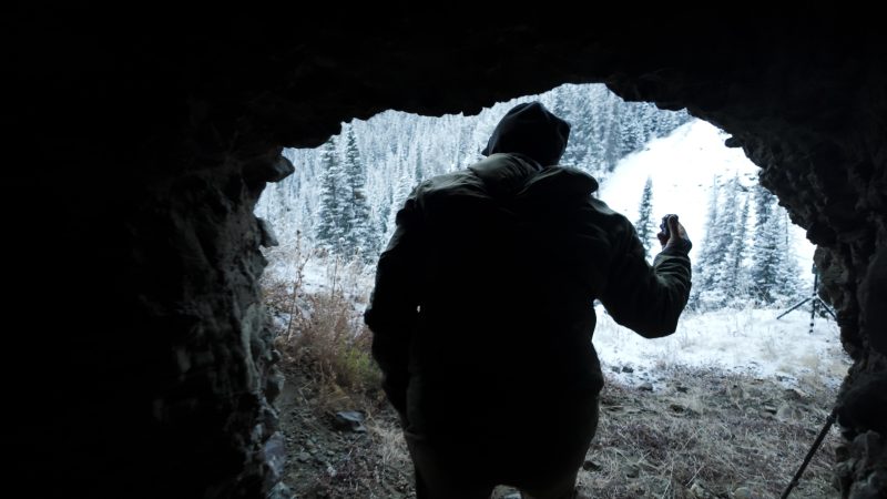 a-filmmaker-left-a-camera-in-a-grizzly-bear-cave-for-10-years.-here’s-what-he-captured