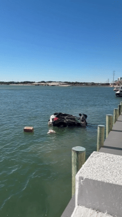 heroic-rescue:-video-shows-good-samaritans-saving-driver-from-sinking-suv-in-virginia-beach