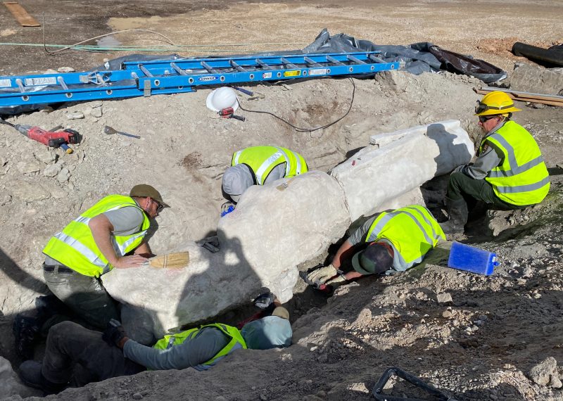 new-fossils-discovered-during-construction-project-at-dinosaur-national-monument