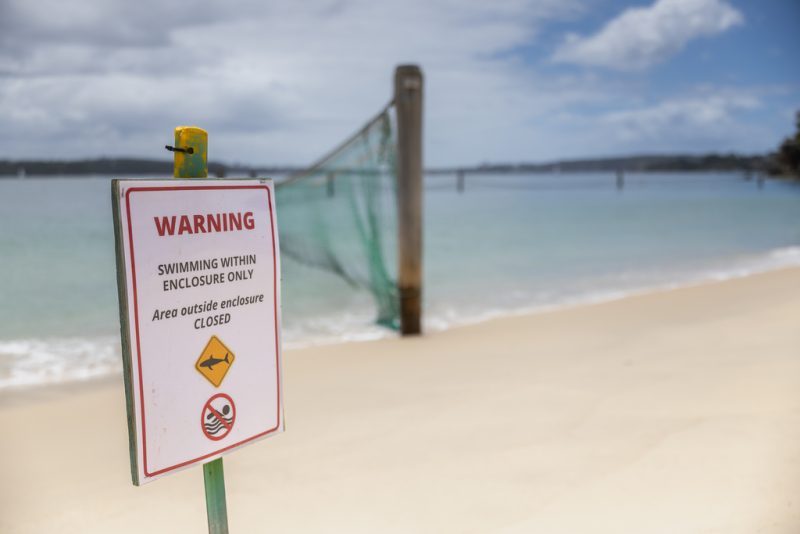 man-and-boy-critical-after-3-shark-attacks-off-sydney-in-just-over-24-hours