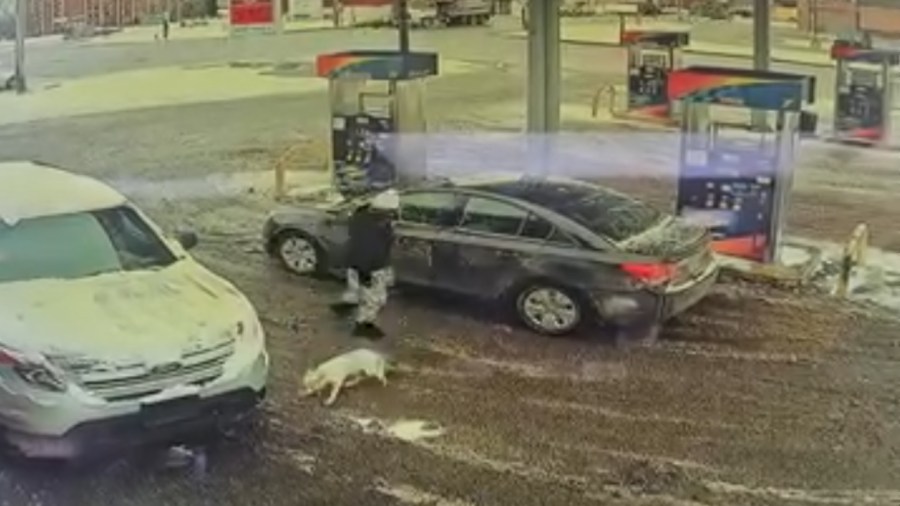 man-charged-with-punching,-abandoning-dog-in-warren