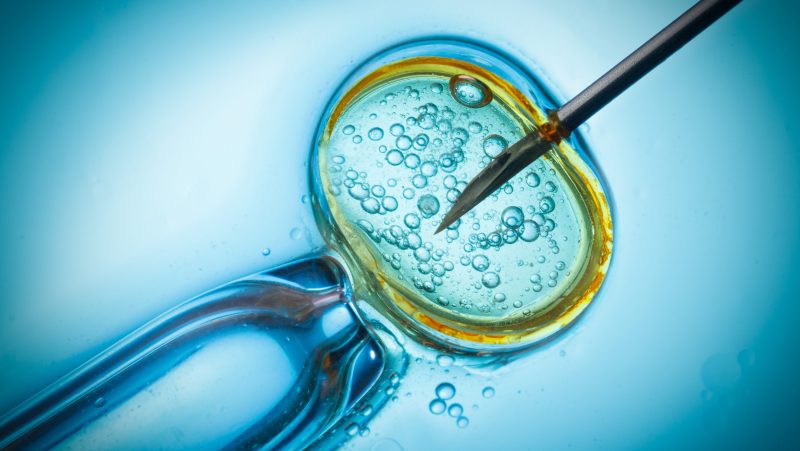woman-gives-birth-to-baby-that-isn’t-hers,-sues-florida-ivf-clinic:-documents