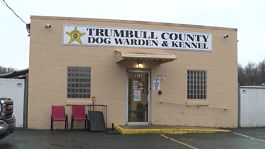 trumbull-county-commissioners-hire-new-executive-dog-warden