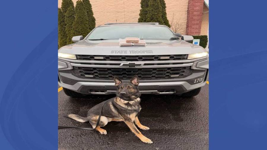 $81k-in-cocaine-seized-in-mahoning-county-traffic-stop