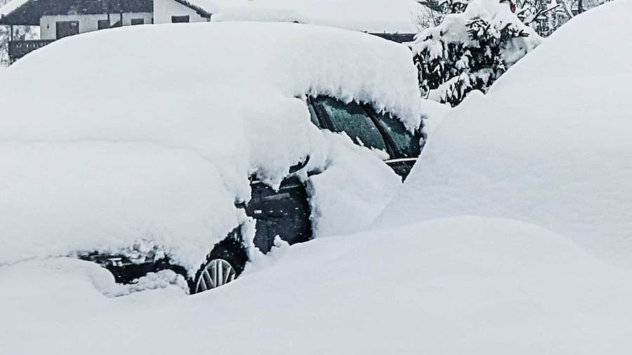 latest-snowfall-totals-in-the-valley