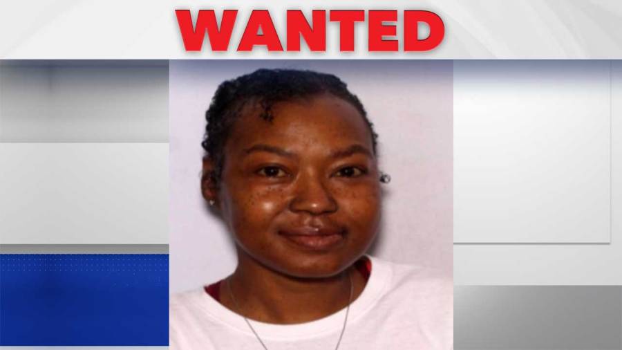 us.-marshals-looking-for-co-defendant-in-niles-stabbing-case