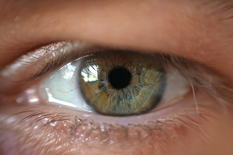 can-colorblindness-lead-to-worse-outcomes-for-bladder-cancer-patients?-a-new-study-suggests-so