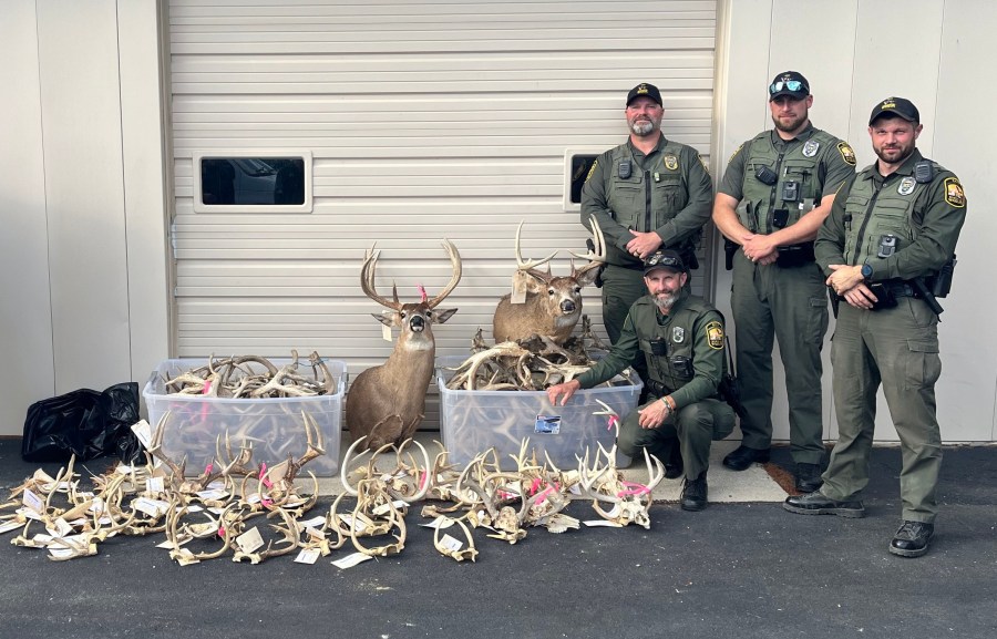 more-than-200-antlers-forfeited-in-yearslong-ohio-investigation:-ohio-division-of-wildlife