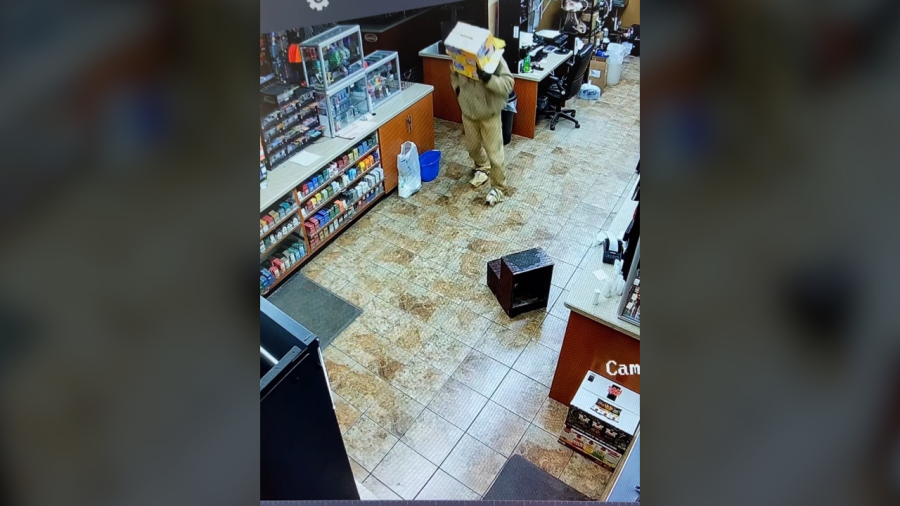 man-wearing-a-box-breaks-into-west-virginia-gas-station
