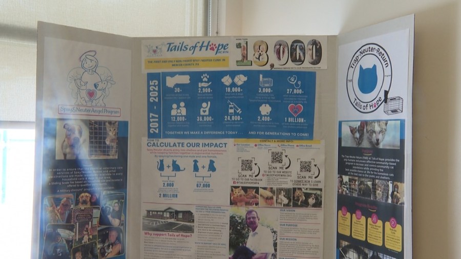 tails-of-hope-celebrates-10th-anniversary